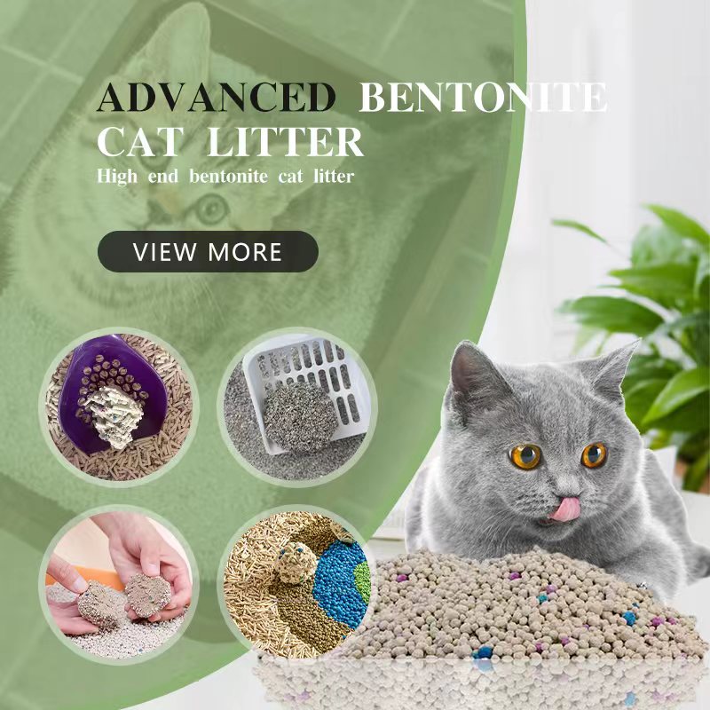 What Is Bentonite Cat Litter 2